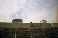 290.JPG