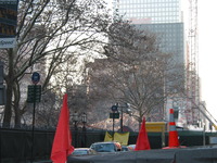 IMG_0238.JPG