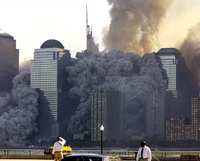 wtc46.jpg