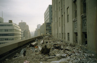 559.JPG