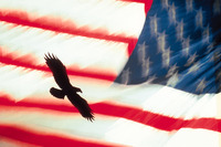 flag2.jpg