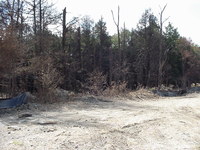 MVC-638F.JPG