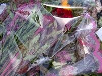 dcp19.jpg