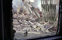 emt_photos_10032.jpg
